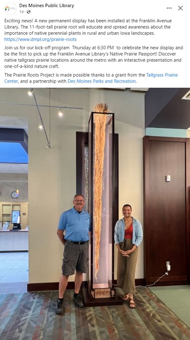 The meme is a screenshot of a Facebook post from the Des Moines Public Library. The post features a photo of a large, 11-foot-tall prairie plant, a type of grass called "Big Bluestem", on display at the library. The text accompanying the photo reads: "Exciting news! A new permanent display has been installed at the library. The 11-foot-tall prairie plant is a type of grass called 'Big Bluestem' and is a great example of the native flora of Iowa."